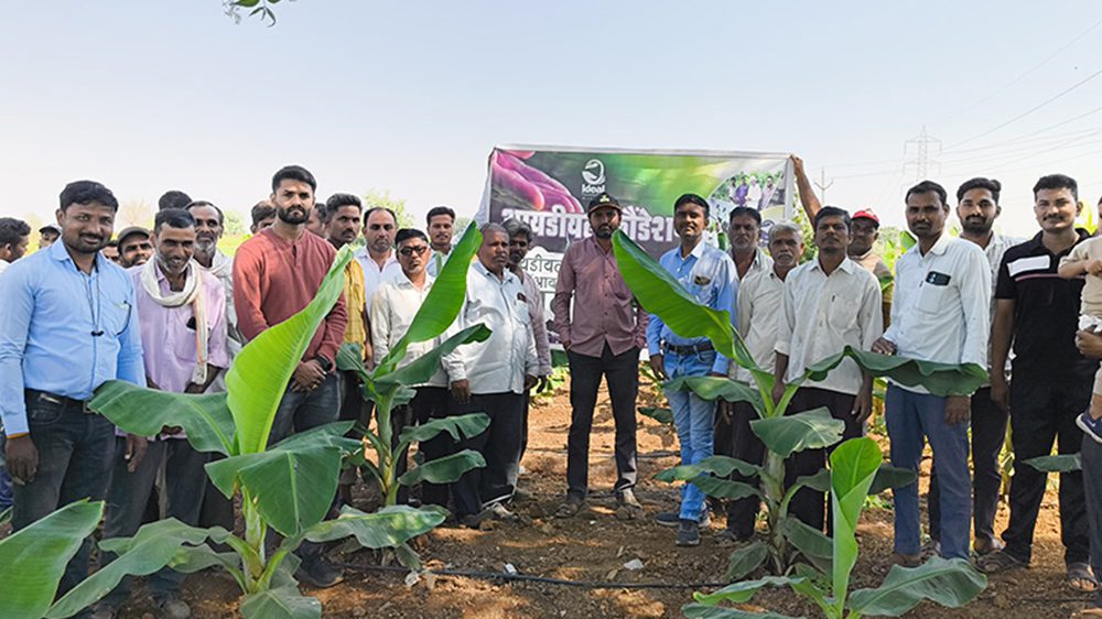 Field Day With Farmer